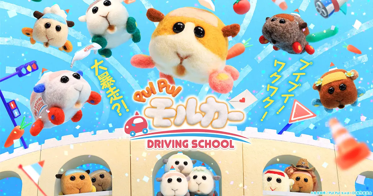 PUI PUI モルカー