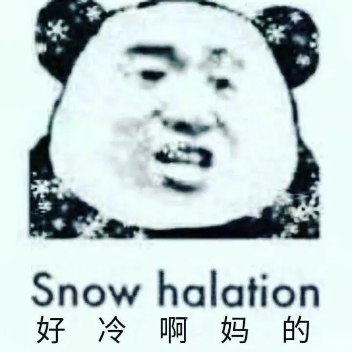 Snow Halation